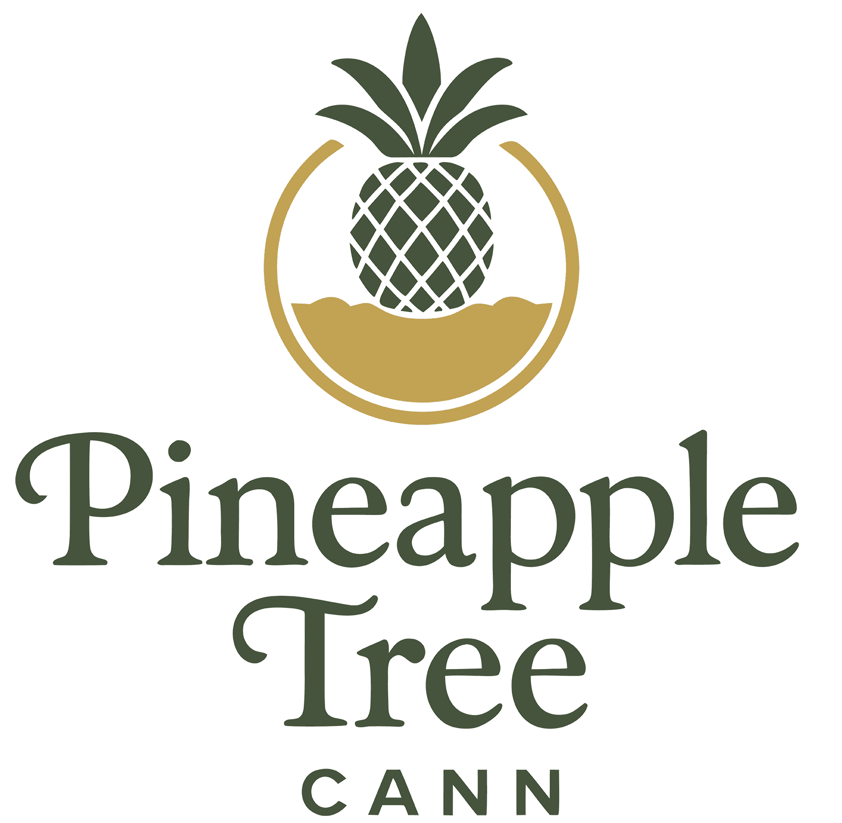 PineappleTreeCann